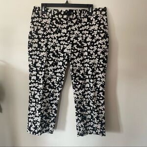 Banana Republic capris 10 petite
